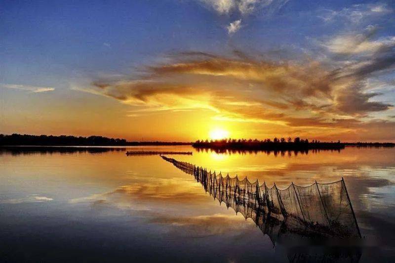 【美景】走进高台的夏天……_徐文玲