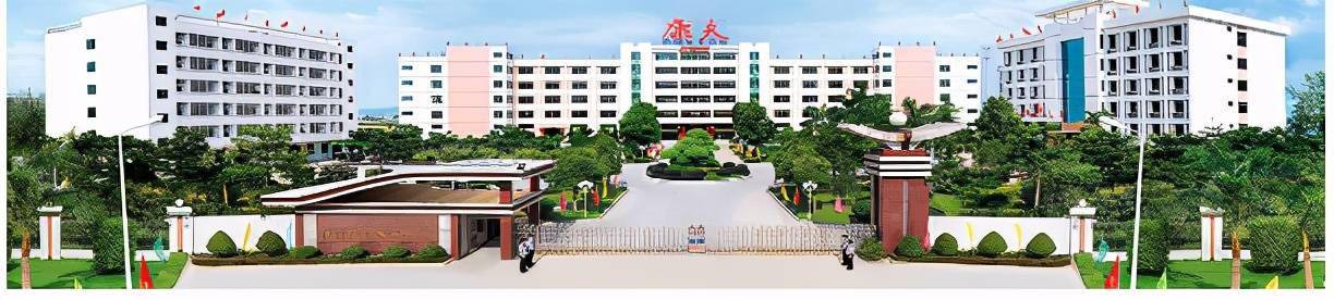 公司,它是中国大型的电吹风专用电机生产基地,这里是康夫品牌的核心