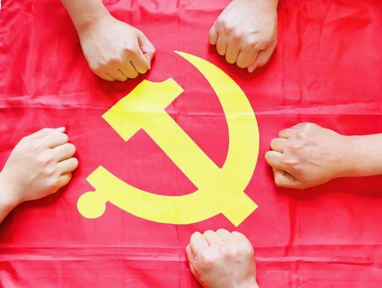 综合经营党支部党员西部公司色连二矿物资管理科党支部党员以芳华立誓