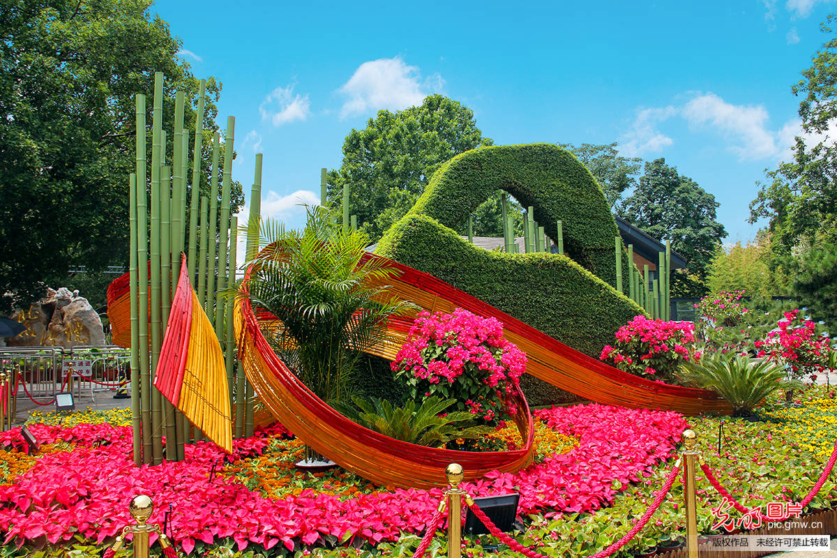 Flower|Flower decorations arranged to welcome the CPC centenary