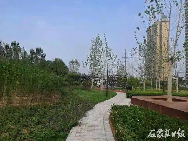 7月1日,位于石家庄北二环与翟营大街交口,东北地表水厂附近的荷园将
