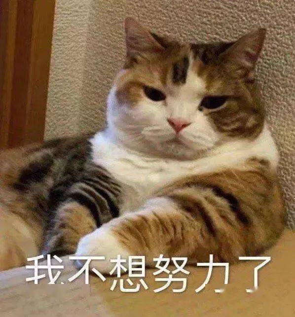 306b38d9b2e24c52a4fae36851db4762.jpeg