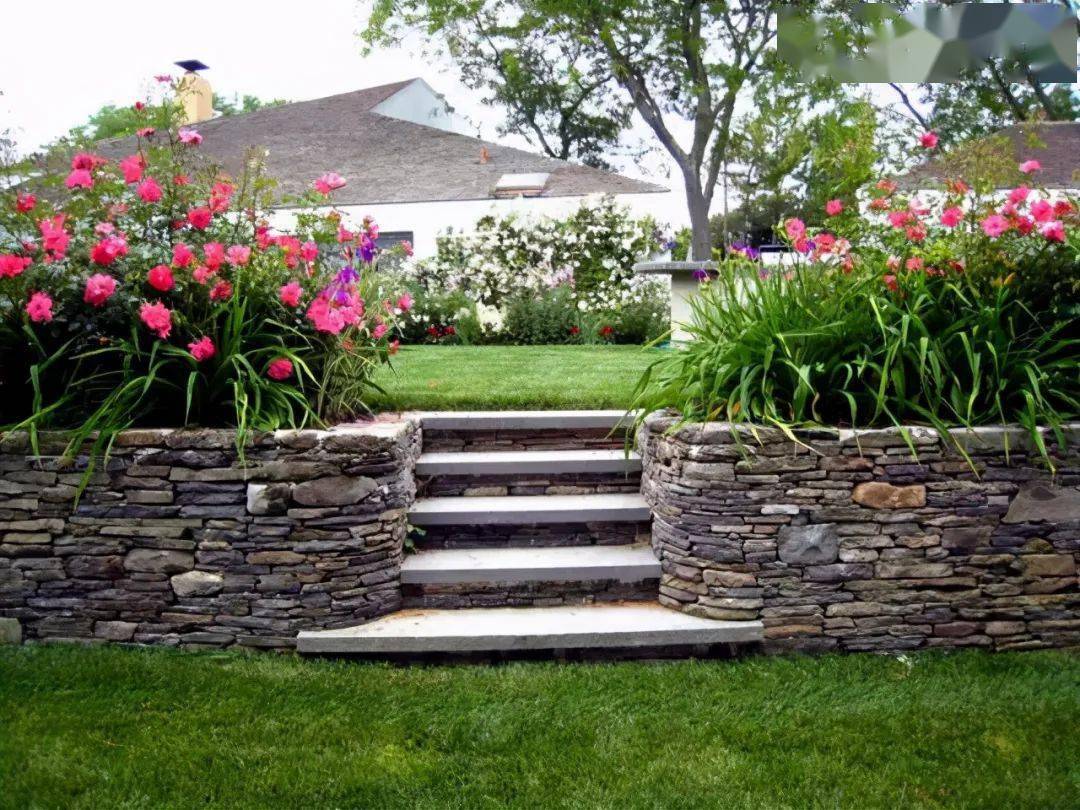 创意:精美的石头会说话