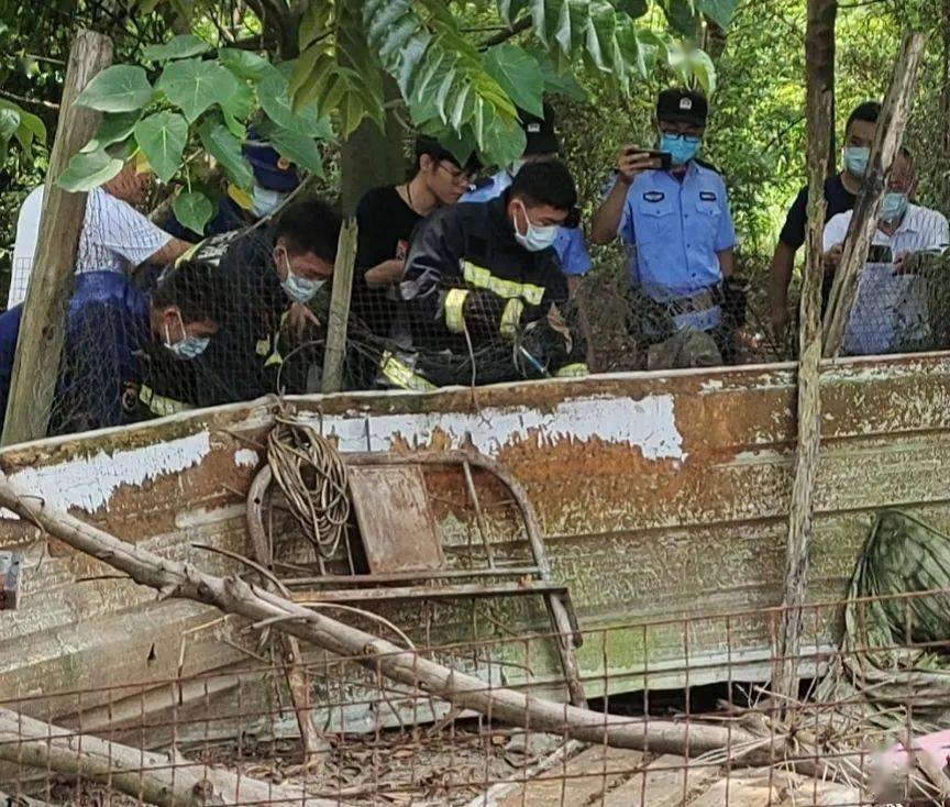 7月1日上午,汕尾红海湾东洲东三村某养鸡场惊现一条大蟒蛇,该蟒蛇重约