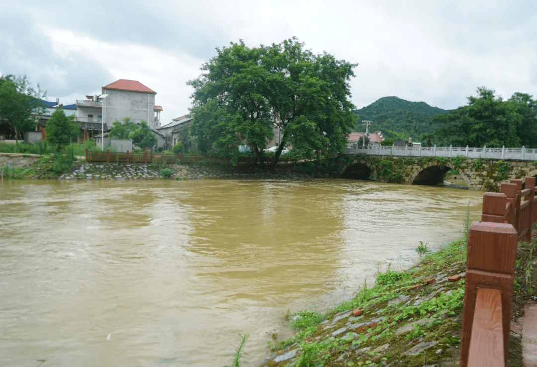 严阵以待,确保安全度汛!胡春平深入黄坛乡调研指导防汛工作