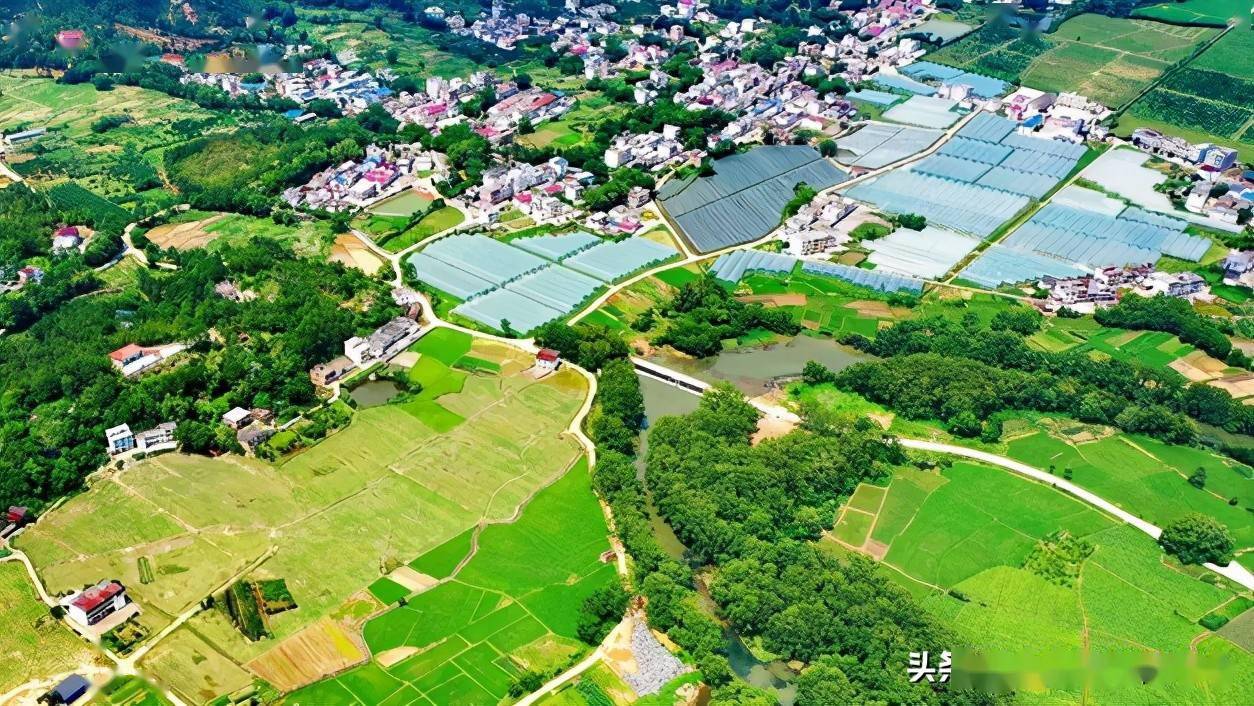 会昌县西江镇地形平坦,境内土壤经检测富含硒元素,部分乡镇地块土壤中