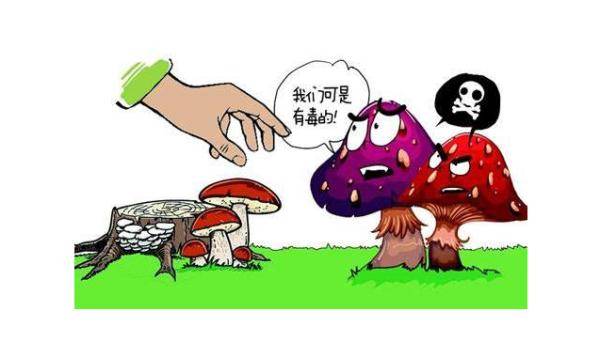 包装袋|陕西疾控最新提示：食物中毒事件进入高发期