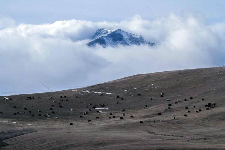 天山迷雾葱岭叠翠恍惚仙境