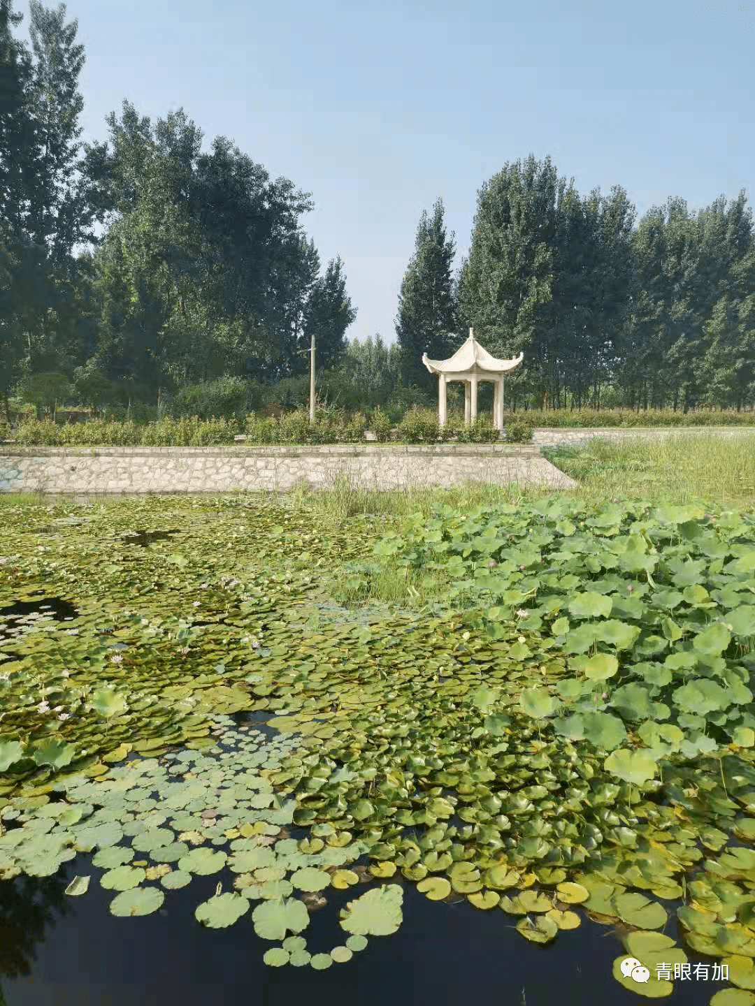 水乡西吴沟了不起的南阳乡村