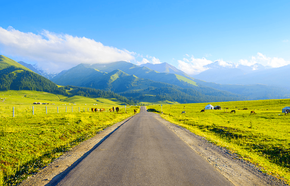 独库公路已正式全线通车!是时候去趟新疆了!_草原