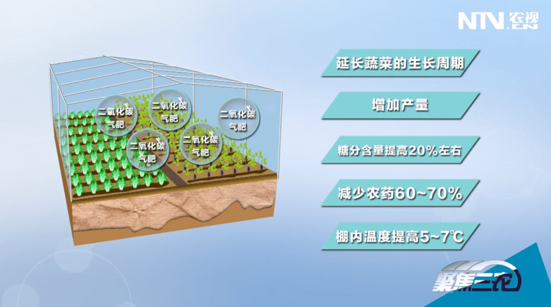 内蒙古自治区农科院公布的数据显示,大棚内使用 二氧化碳气肥,可以