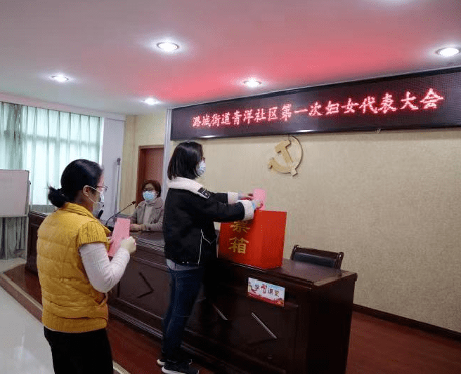 凝聚"她"力量!经开区全面完成村(社区)妇联换届工作