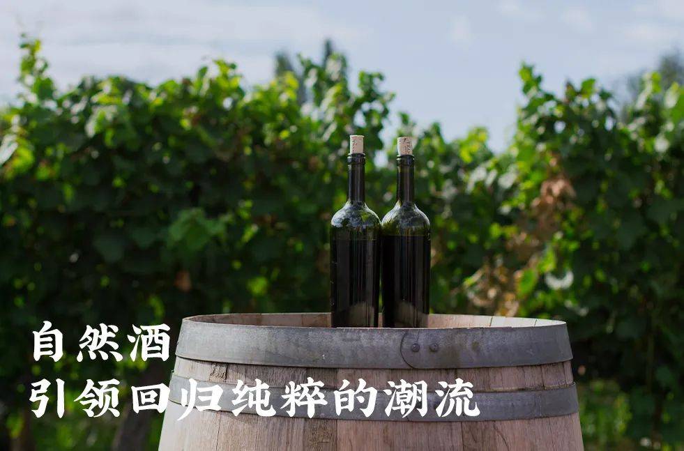 Wine|为什么最近火爆全球的酒,越土越火?