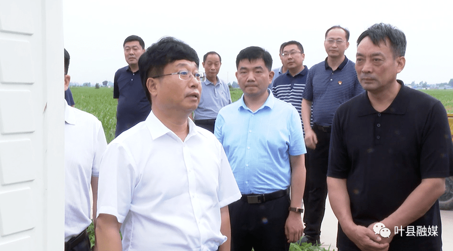 徐延杰调研农田水利建设工作