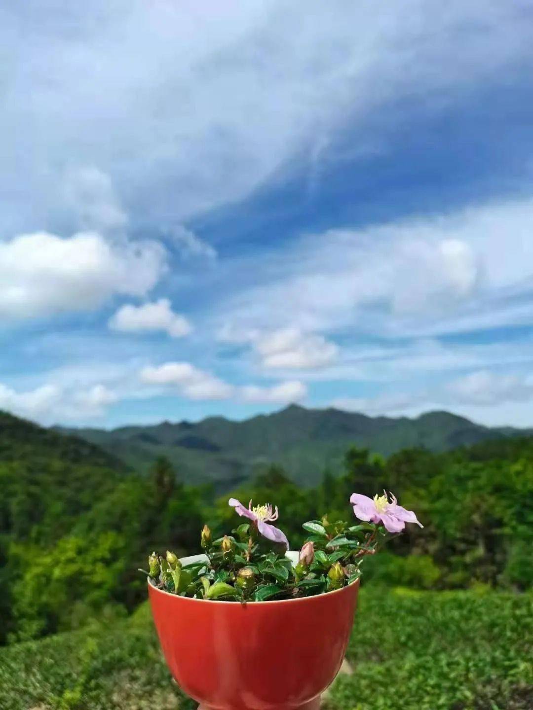 you when you rise也许暴风雨正要降临it may be the storms fallen