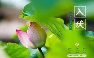 993a5e9cdf2f47bfa7480accd9111065.jpeg