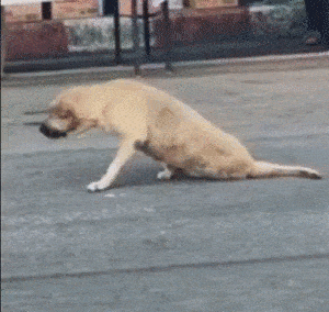 收拾好自身物品回家,因为练腿过猛,他在等待电梯时,突然腿软,一屁股坐