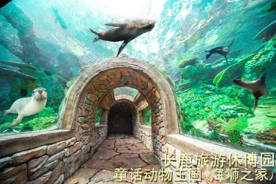 128元抢购周末不加价顺德长鹿奇遇之旅2大1小套票观光票120元游乐金