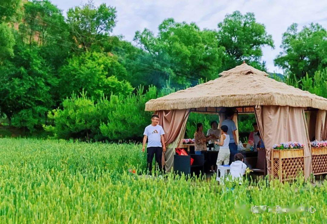 最美避暑胜地就是这里临夏的美邀您现场体会