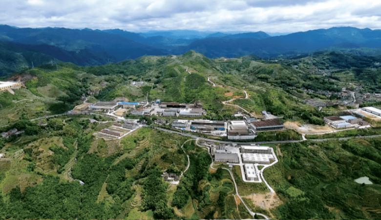 泰顺农村大改变他们靠这种花致富