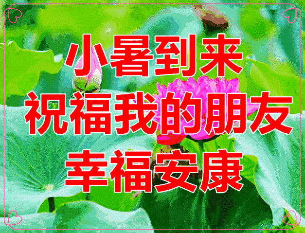 672021小暑漂亮的表情包图片大全祝大家小暑快乐朋友圈祝福语