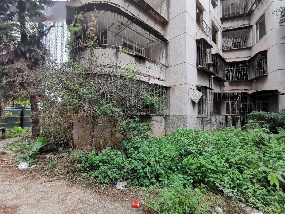 深圳南山旧改南苑新村万科重点项目旧改重启签约率95带南山实验学位