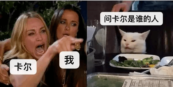 刺猬卡尔meme图片