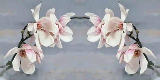 捧着花的人怎么画 7c8ded5c532c4b1dae829928b8fade6d.jpeg