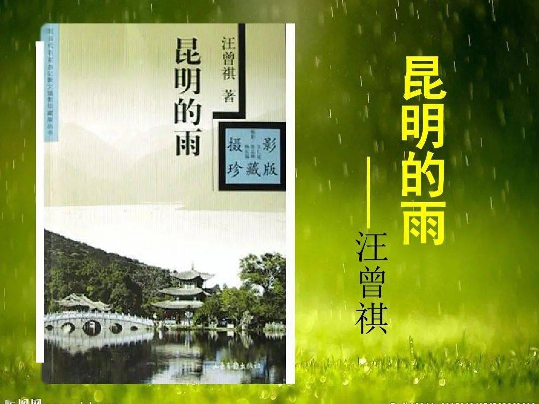 第2754季【湿地豫见】王兴伟:"补"出语言的情味——浅析《昆明的雨》