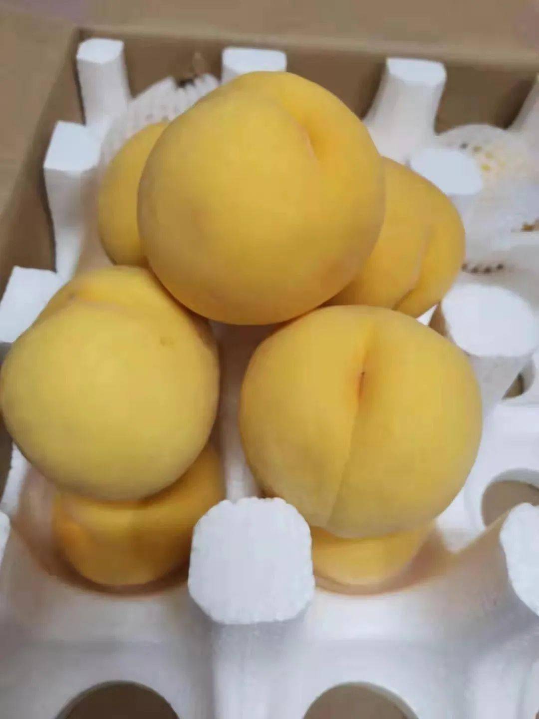 都在买的桃子,口碑好!