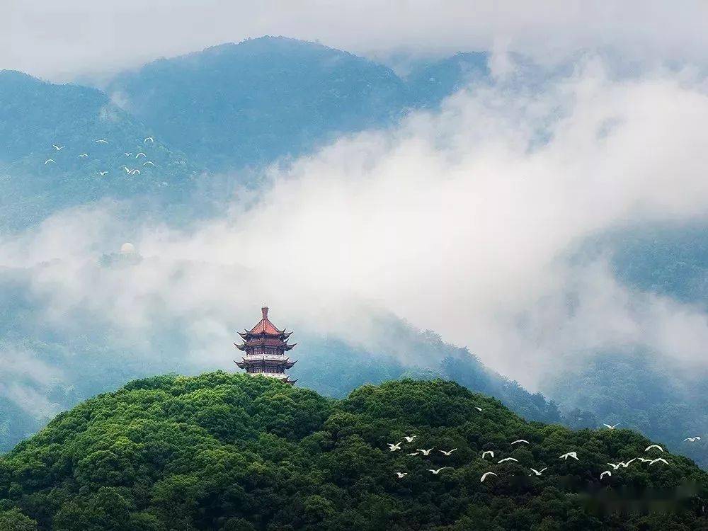 慶祝建黨百年華誕遊三明百條線路三明全景全域篇生態工業一日考察線