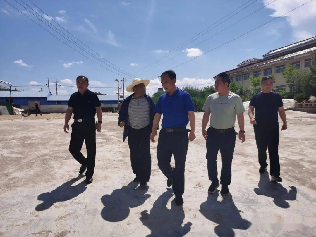 【何坝动态】县农业农村局局长王平仲一行深入何坝镇调研指导乡村振兴