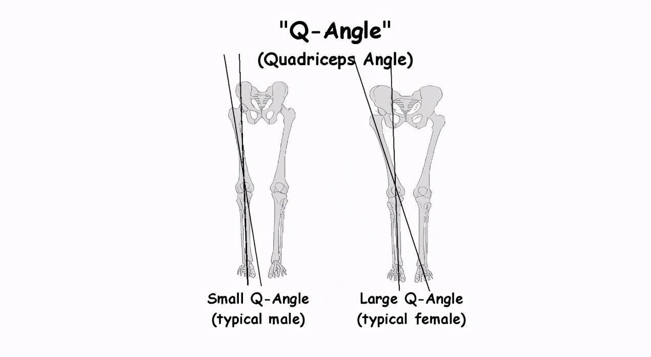 q角,即 quadriceps angle,又叫髌股角,是指两条线的夹角.