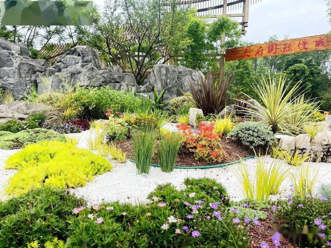 崇州街头花镜,唯美浪漫