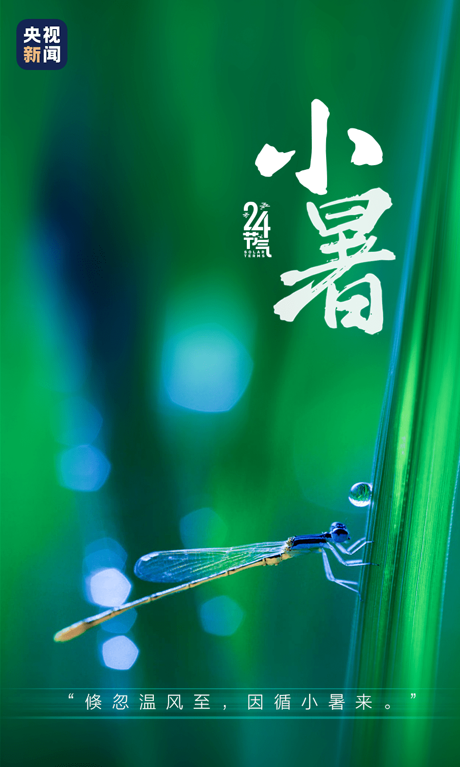 今日小暑近十年气温次高年祁县雷暴大风齐预警