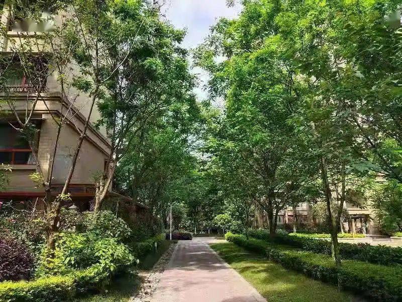 左手城市右手景区预计100万起买都江堰一环洋房