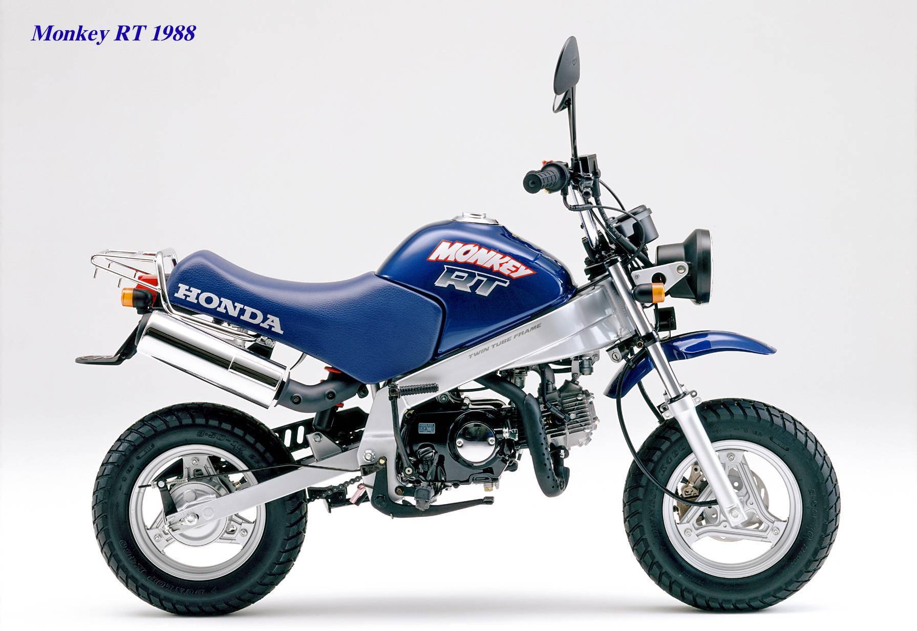 下面的图片,从上世纪七十年代末开始推出的 gorilla " 大猩猩 ".