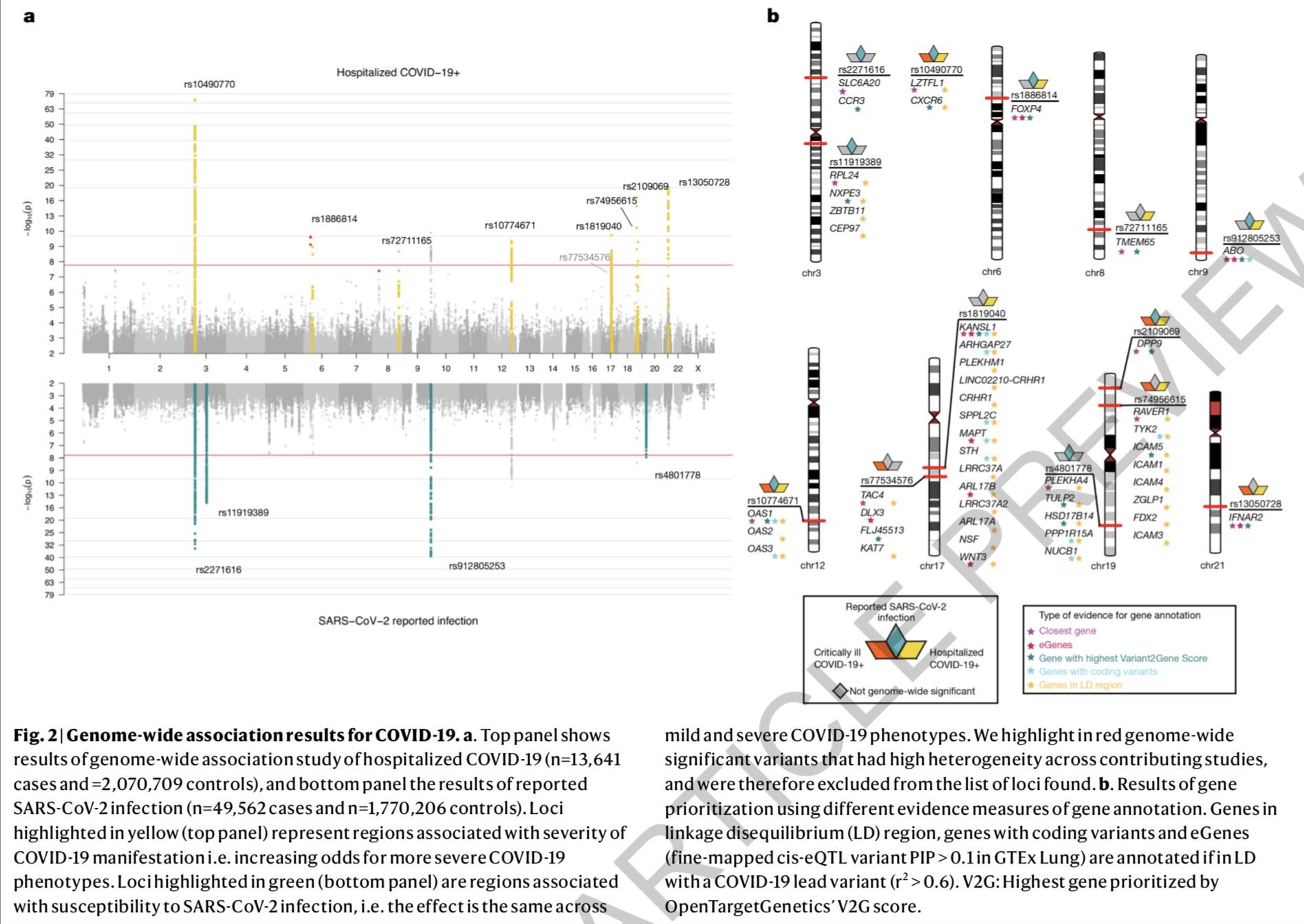 宿主|迄今为止最大规模基因组研究：新冠严重程度的遗传因素有哪些