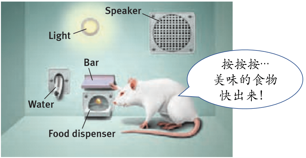 训狗跳舞哪家强哈佛找斯金特introtooperantconditioning上