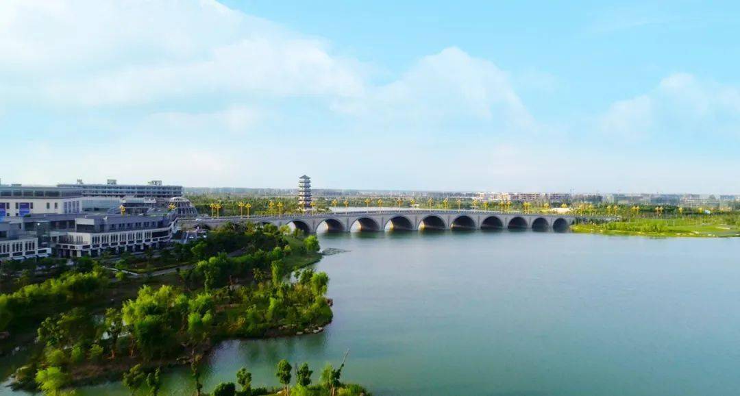 萧县这里,美成壁纸!_荷花