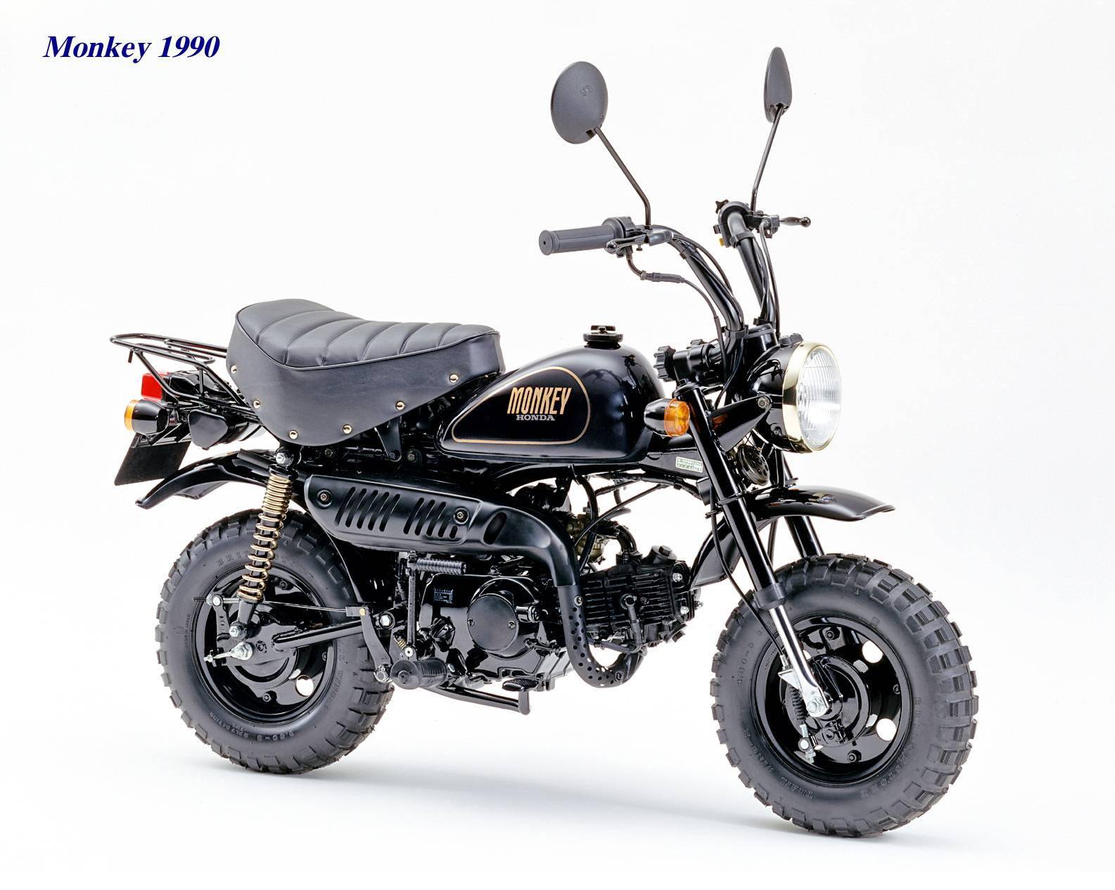 下面的图片,从上世纪七十年代末开始推出的 gorilla " 大猩猩 ".