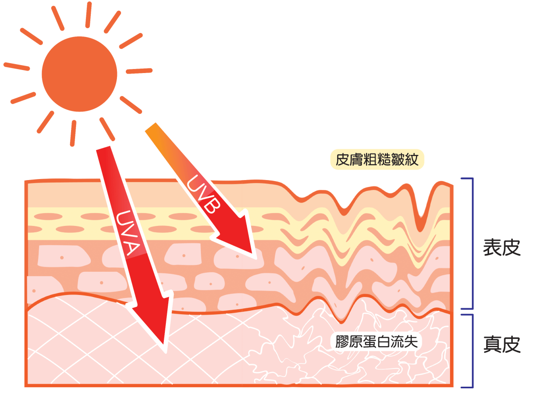 Before|秘籍 | 从滤镜美人到生图惊人，21天，拿捏了