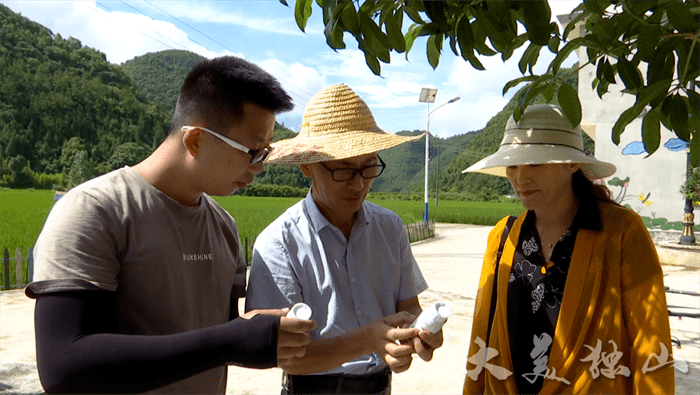 喷药老总_农作物喷药机图片