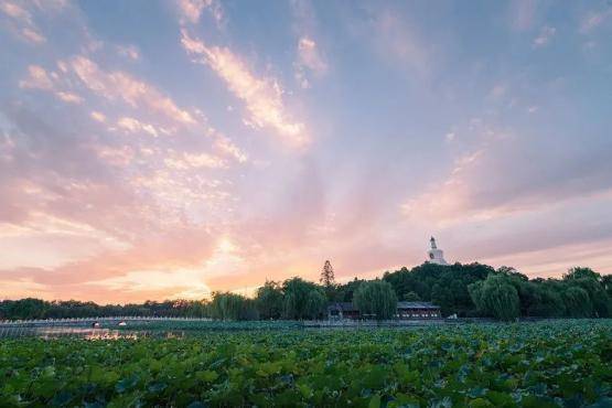 生活|“40岁失业后，我的乳腺癌复发了”