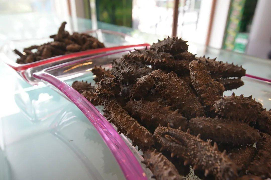 怎样快速泡发海参最好 2b53d3eac9e745a7bf5efdb32b0306e7.jpeg