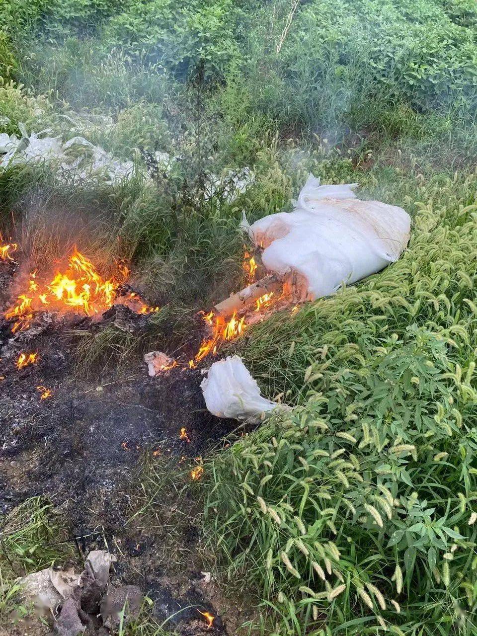 乐平有人露天焚烧塑料垃圾,污染环境藏隐患!_在线
