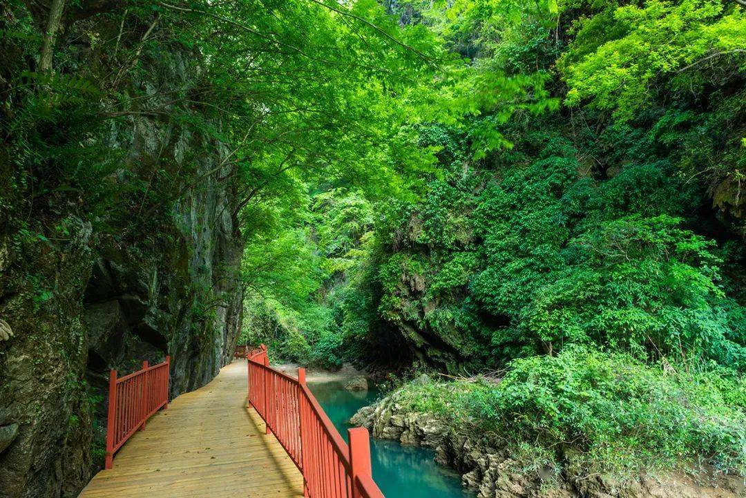 128元人打卡阳山两大景区广东峡天下神峰关7月逢周六出发绝壁栈道石林