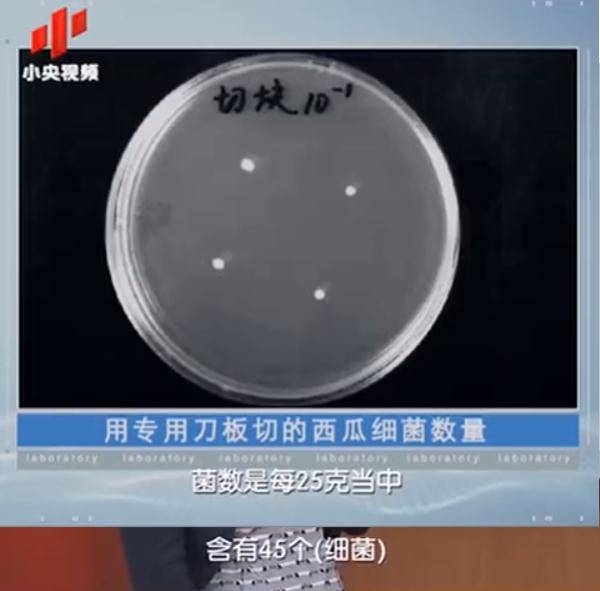 网友|一口吃下8400个细菌！“隔夜冰西瓜”上热搜，网友慌了……