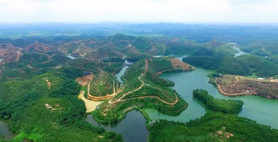 厉害了茂名数字链农产业联合体赋能化州乡村振兴