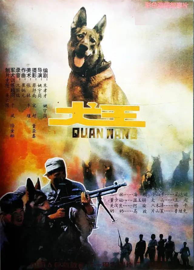 作为一部经典抗战片,它很特殊,把主角从传统的抗日英雄们替换成了军犬